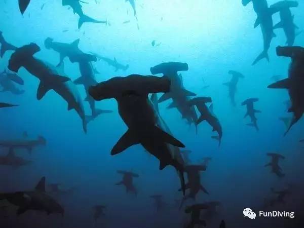 从入门级到朝圣级，船宿该怎么选？