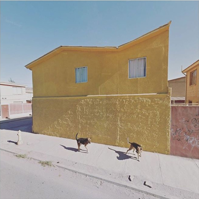 她宅在家里，却用27000张照片记录了与众不同的旅程