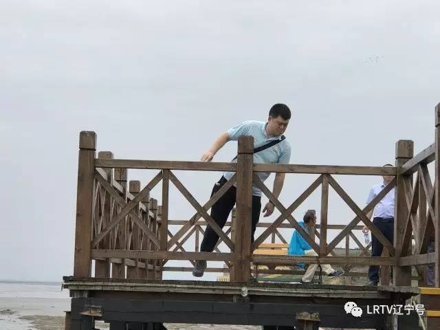 辽宁营口北海风景区,营口北海风景区之旅感受与收获