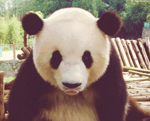 成都周边徒步健身绿道,成都绿道骑行公园