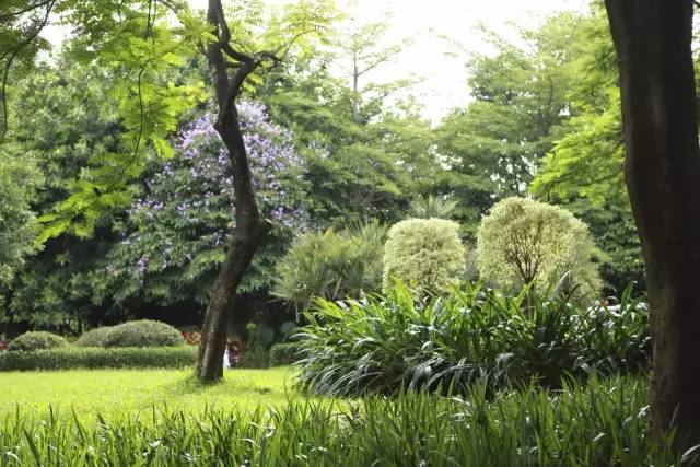 成都周边徒步健身绿道,成都绿道骑行公园