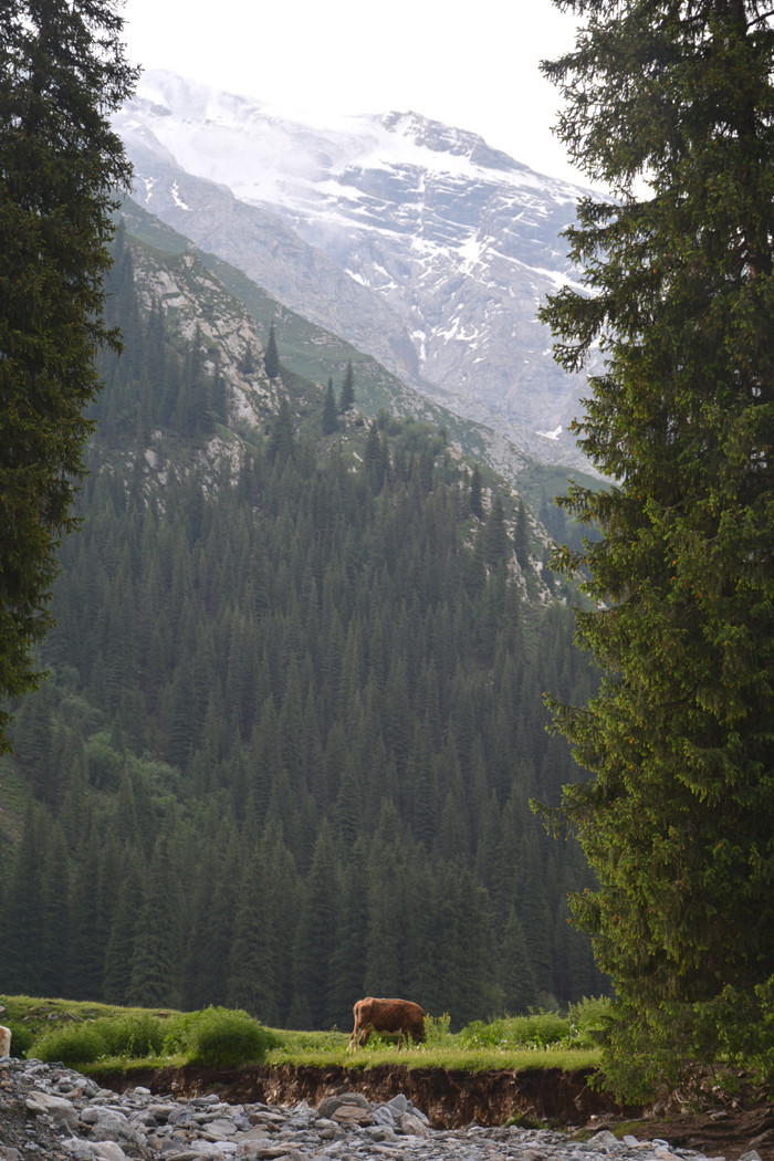 行者无疆-6月乌孙，漂洋过海为圣湖，翻山越岭因初心