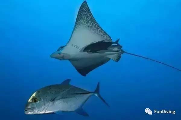 从入门级到朝圣级，船宿该怎么选？