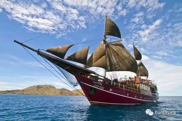 船宿推荐及价格,船宿推荐