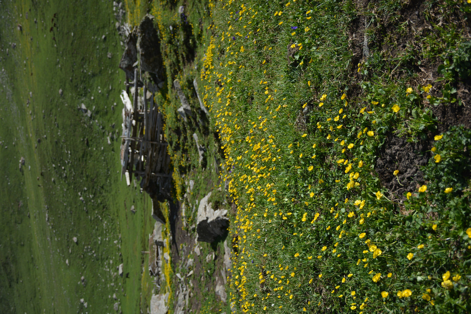 行者无疆-6月乌孙，漂洋过海为圣湖，翻山越岭因初心