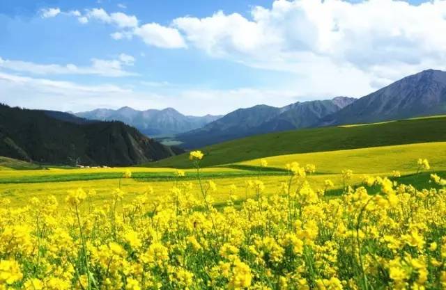 对不起，我去草原了，别再找我了……