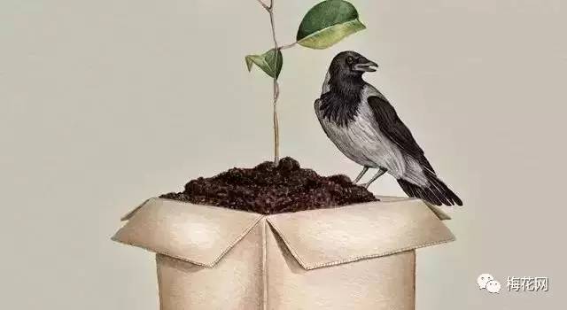 秀米微信公众号排版教程,微信公众号排版怎么弄好看