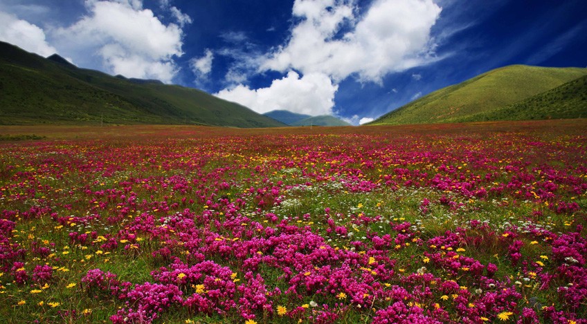 四川夏天最凉快的城市排行榜,四川最凉快的地方