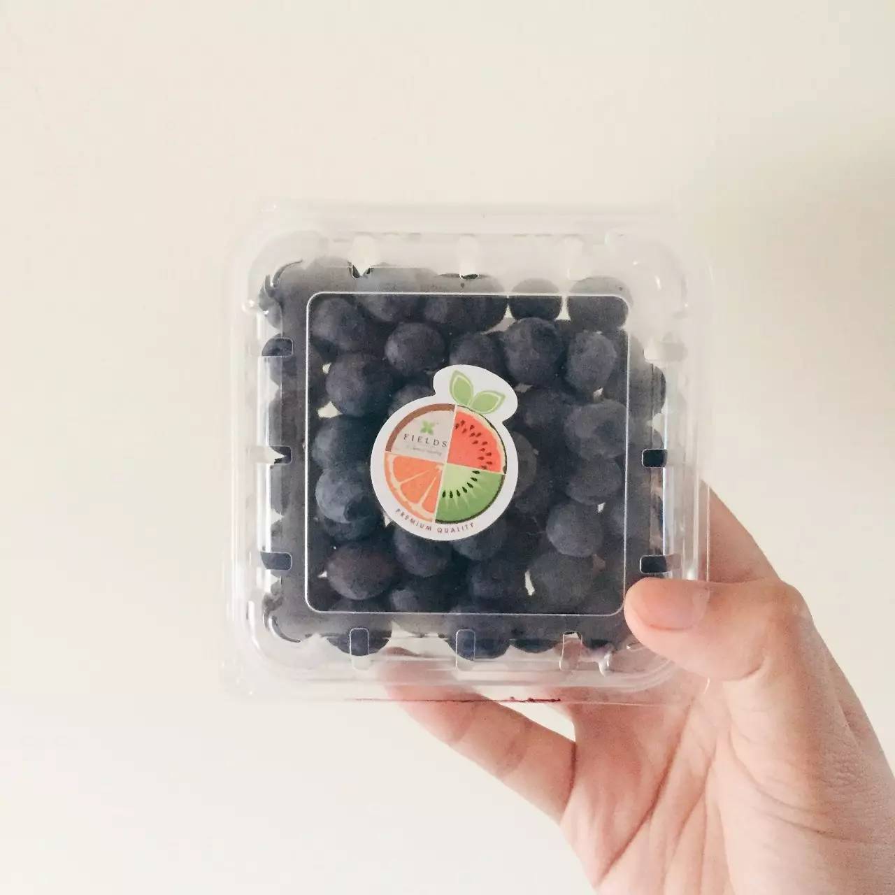 “夏天就是要约上三五好友在露台上晒太阳”｜好用不贵小物推荐Vol.12