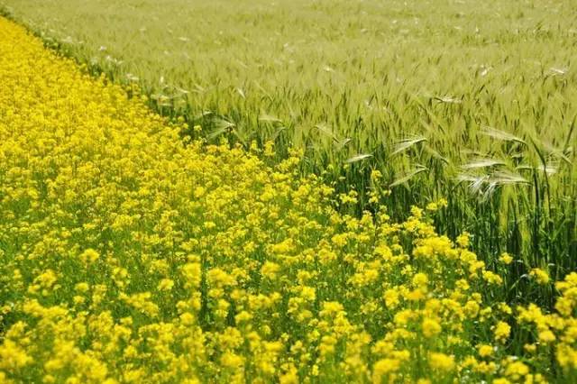 对不起，我去草原了，别再找我了……