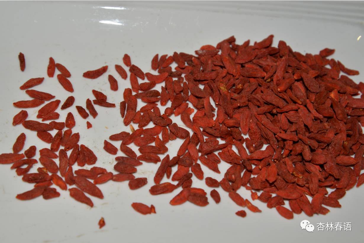 枸杞子是药食同源吗,中医论枸杞子