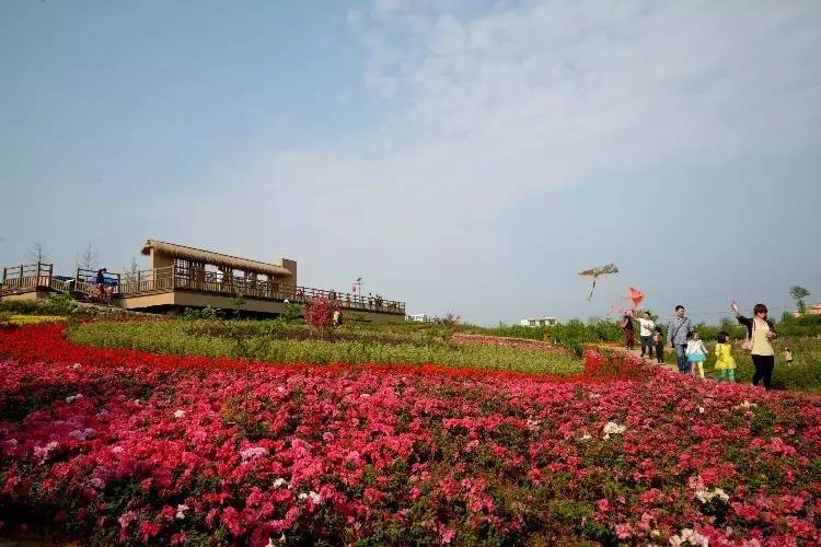 安州带娃避暑2-3天推荐,避暑亲子度假