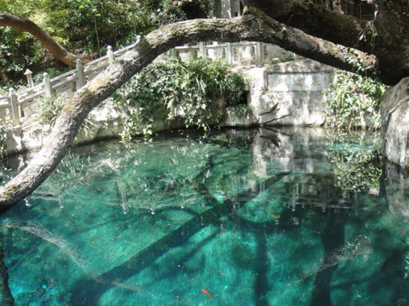 蝴蝶泉飞舞,漫天蝴蝶在花丛中飞舞视频