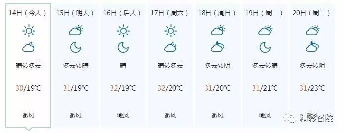 精彩召陵,召陵新闻网