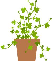 入门级留学申请干货留学小白必看,攻略必备干货知识分享