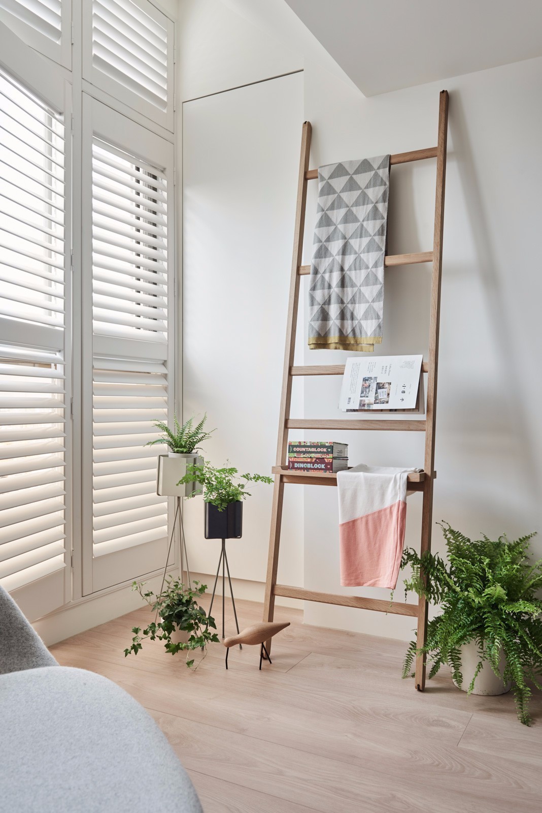 猫奴的生活布置,猫奴的卧室怎么装扮