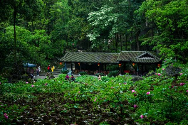 安州带娃避暑2-3天推荐,避暑亲子度假