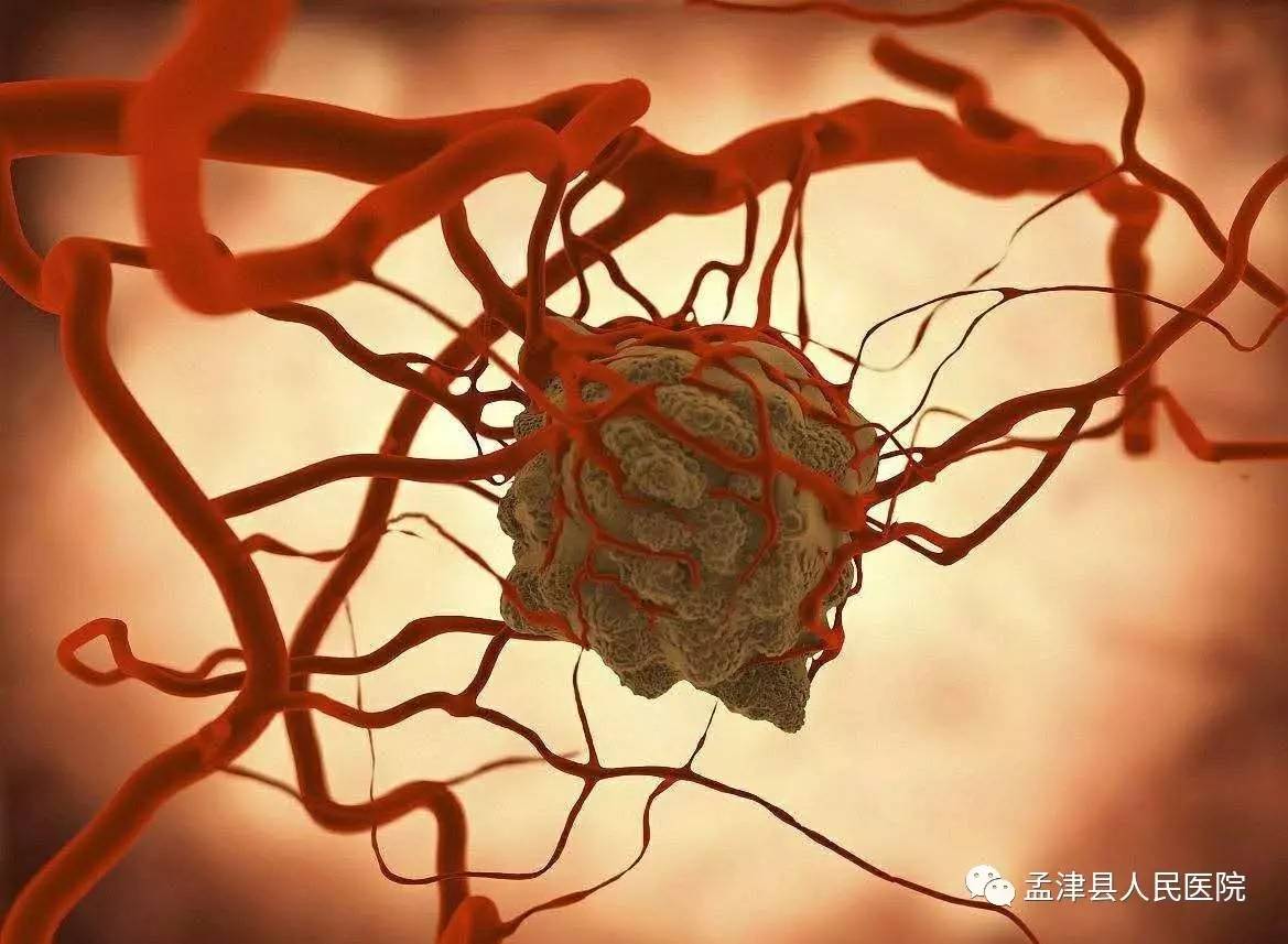 滚蛋吧肿瘤君周西现在怎么样了,滚蛋吧肿瘤君漫画全集在线阅读