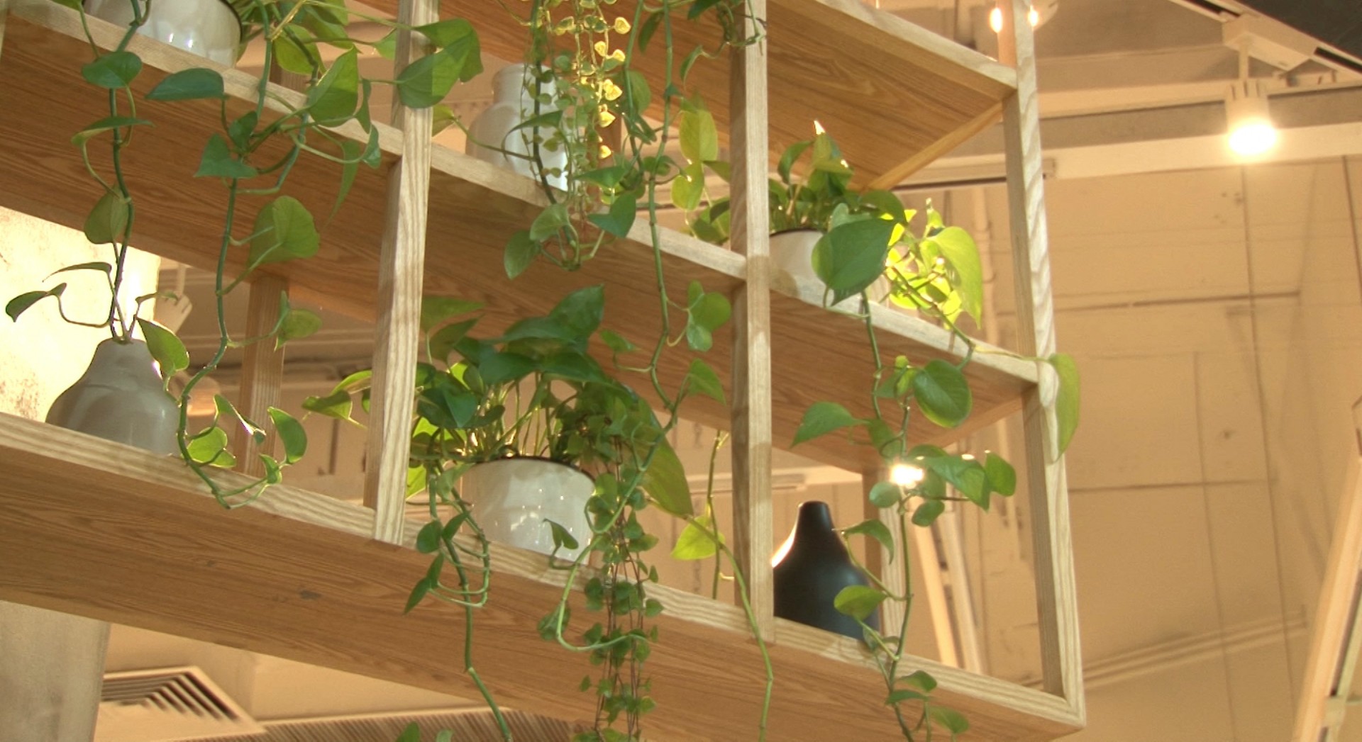 深圳超人气原生态过桥米线,每月卖出10万+碗!