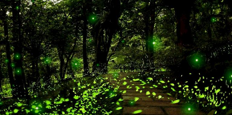 比工资上涨房价下降更劲爆!这里有25个好消息,个个与你相关!