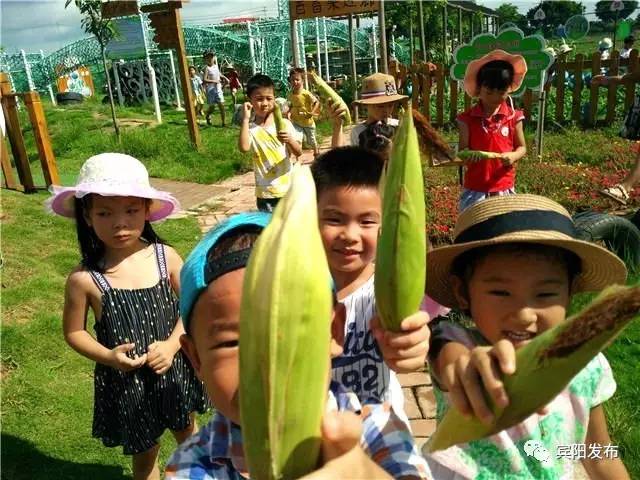 顾明幼儿园,顾明幼儿园在哪里