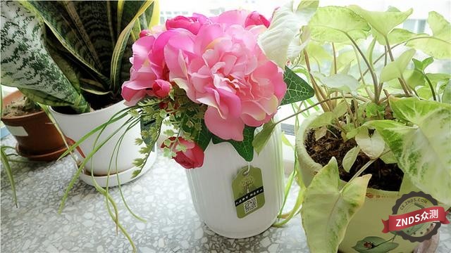 灿若夏花，静如秋叶——优山美地负离子仿真花空气净化器测评