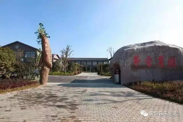 假如句容也有朋友圈，她的故事你一定猜不到……