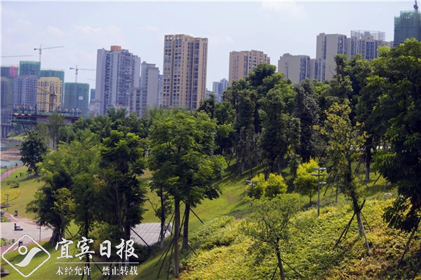 看金山银山全景图,看绿水青山美景