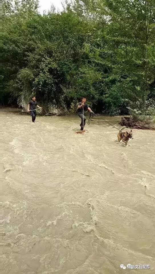 突如其来的冰雹让人措手不及,突如其来的地震告诉我们珍惜当下