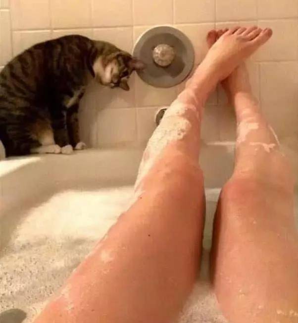 自从养了狗就没有了朋友,自从养了狗就没有朋友