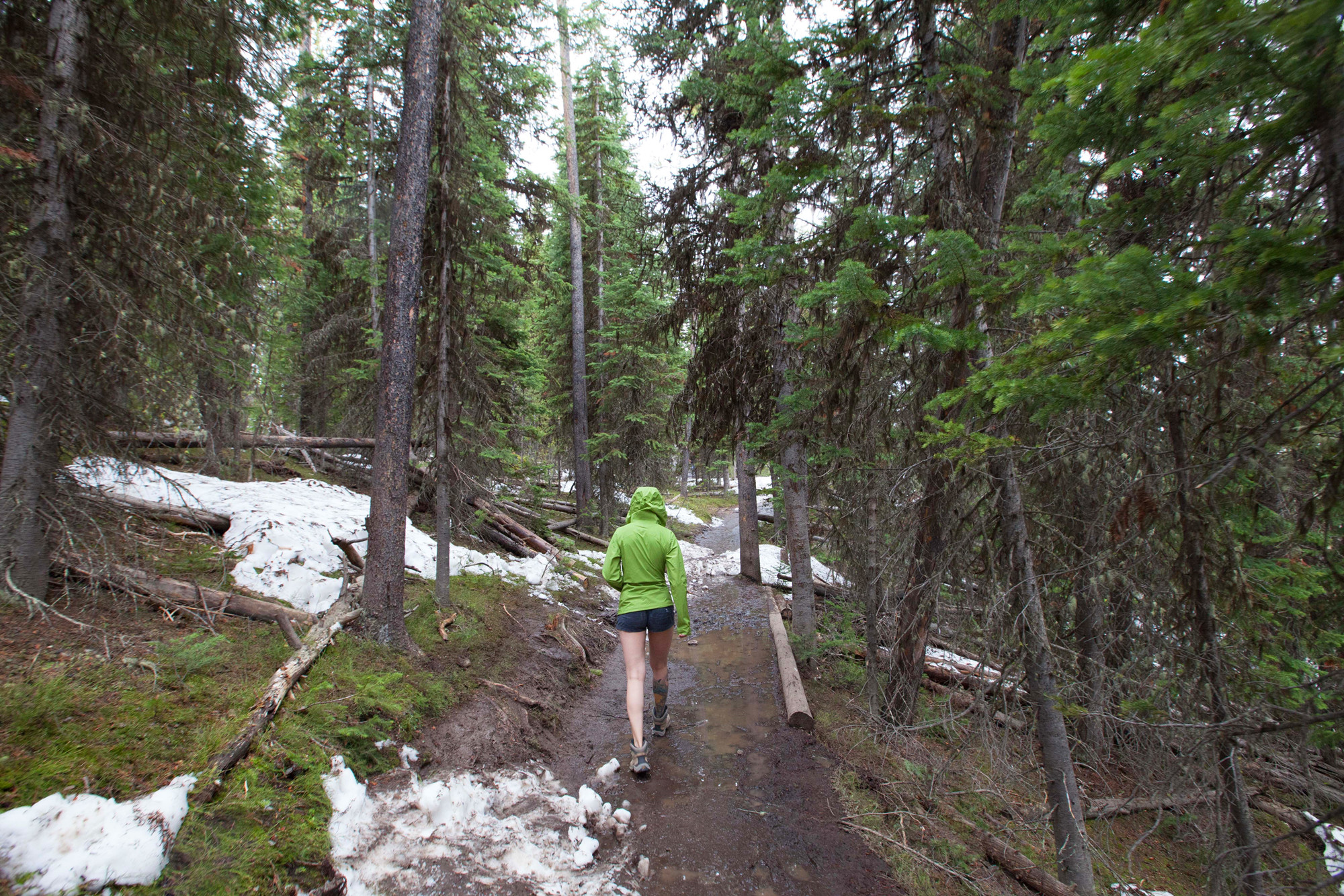 女士美式冲锋衣测评,patagonia冲锋衣适合温度