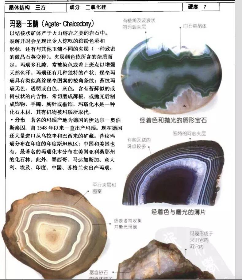 博物馆古玛瑙,博物馆研学笔记