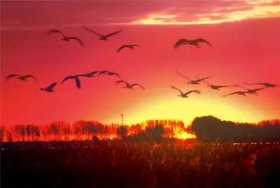 1982年国务院第一批文化名城,国务院公布135座历史文化名城