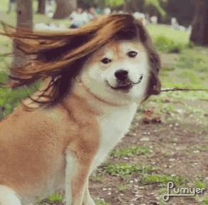 去屈臣氏必买的产品,便宜性价比高的屈臣氏好物