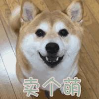 有什么方法修复屏幕划痕,电视屏幕划痕较深怎么修复