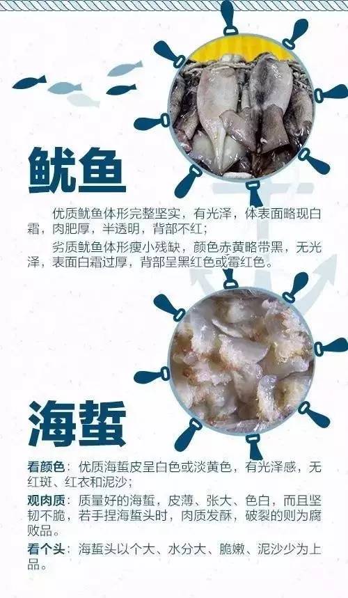 日照开海后什么时候买海鲜,日照开海首日海鲜