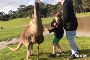 早fun｜云南丽江拉市海景区将全面停业整顿持续到9月30日