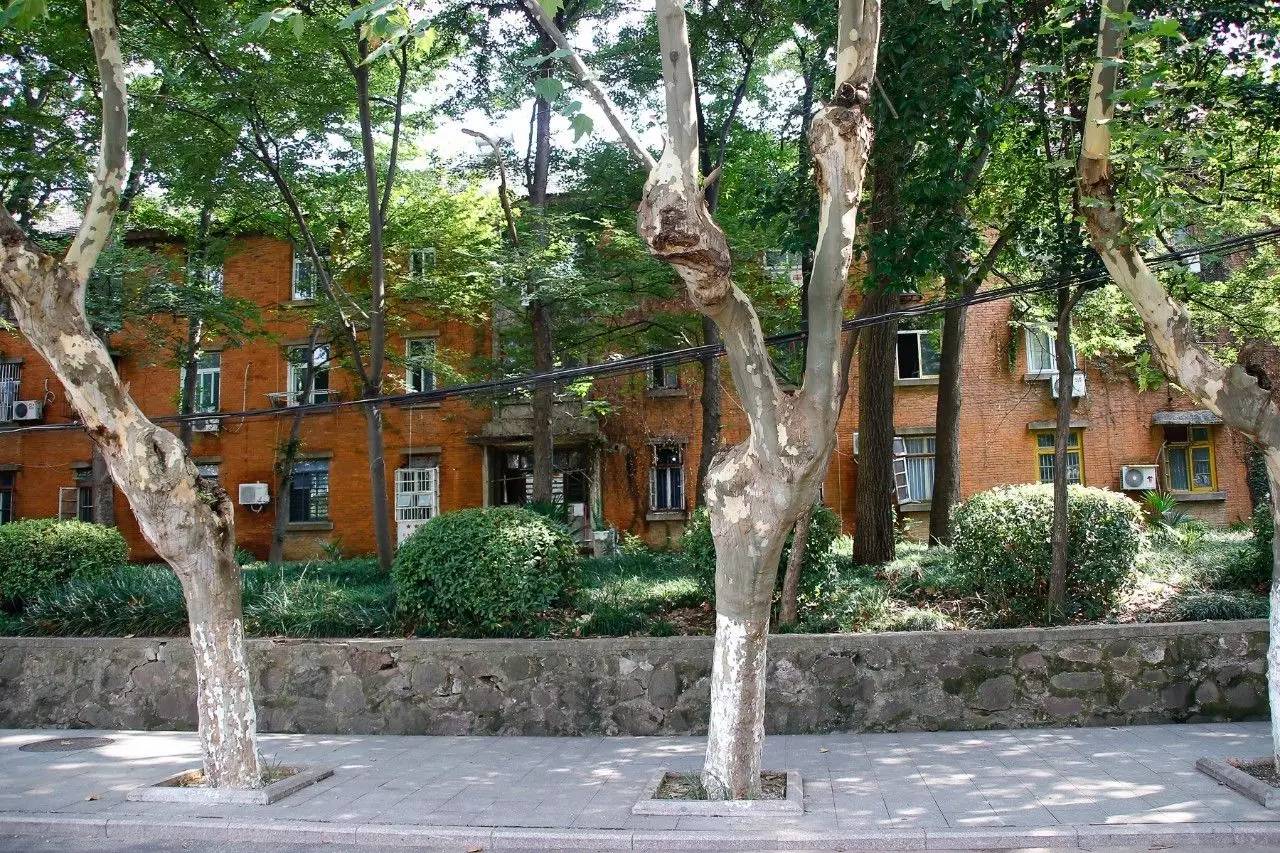 曹操当年在安徽哪个地方屯兵,曹操屯兵处在哪里