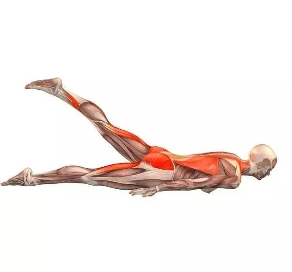 紧致臀腿曲线，这一招“塑”战速决｜体式精讲