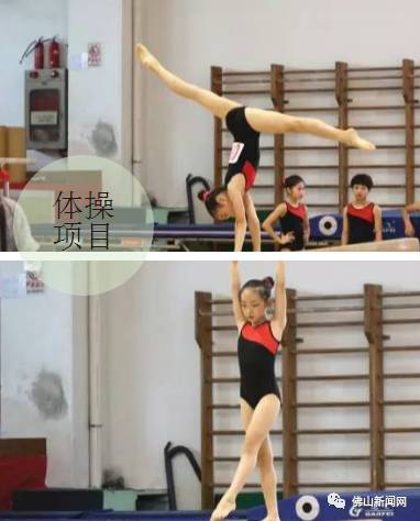 佛山市运动会金牌,佛山第10届运动会什么时候开