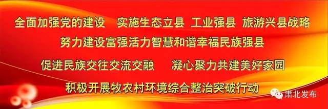 我爱足球民间争霸赛,我爱中国足球杯