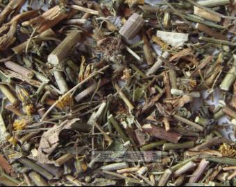 中药知识必学白丁香,中药知识必学旱莲草