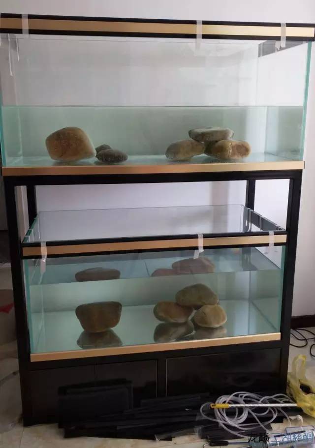 从零开始原生缸,从零开始造景缸