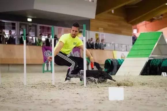 「福利」这周末有一场和宠物的约会等你来，小布送票送助攻→