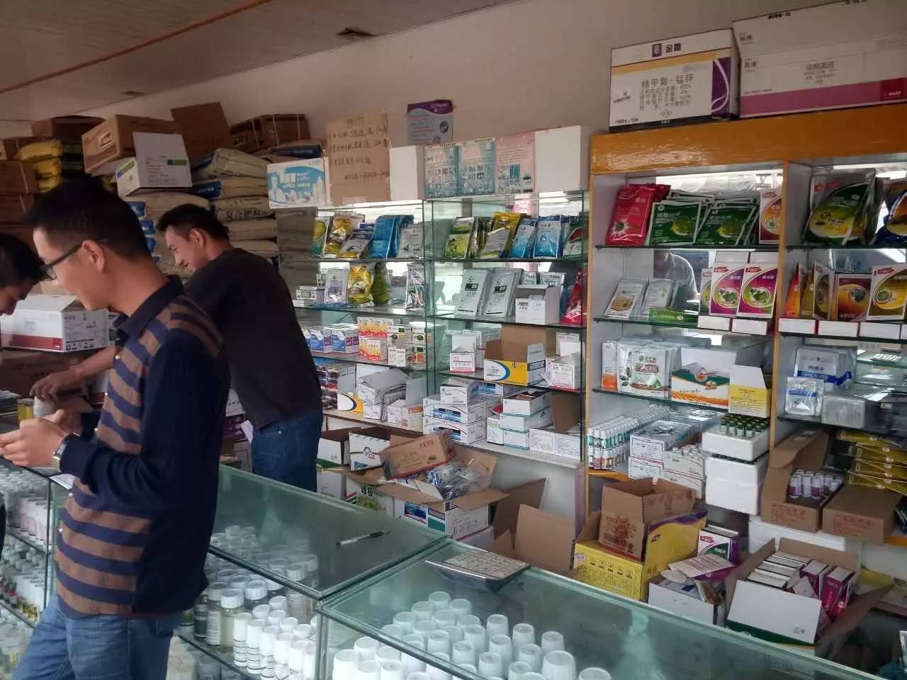 云南农资市场最新消息,云南农资市场咋样