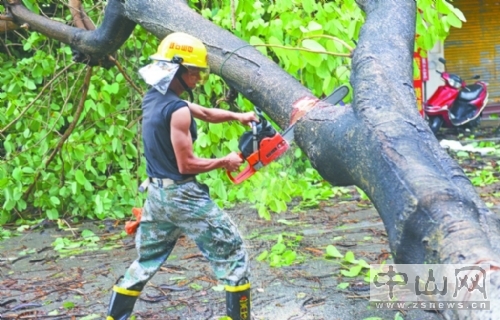 台风天鸽肆虐珠海,台风天鸽肆虐下的广东