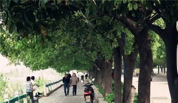 鄱阳东湖的前世今生,鄱阳一中高中回忆