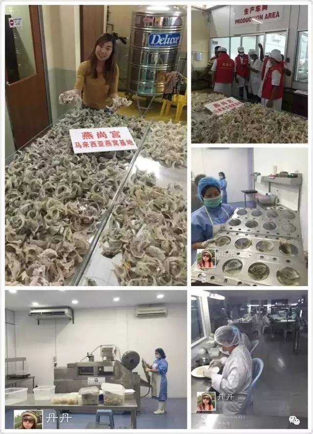 燕窝该怎么挑选,燕窝怎么挑才快又干净