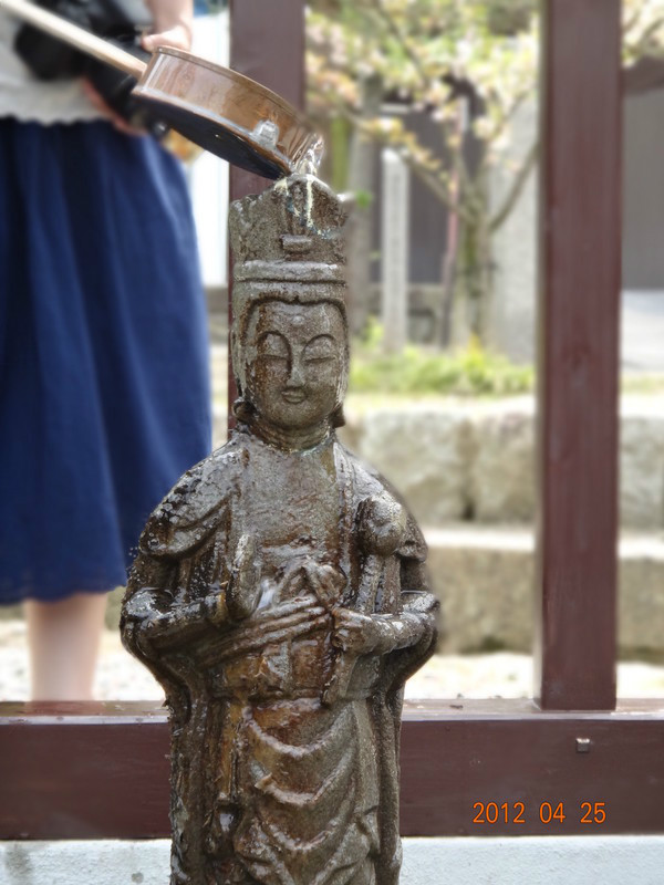 日本7天自由行跟团,日本7天自由行大约需要多少钱