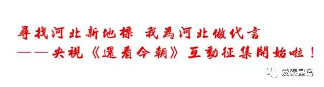 秦皇岛即将开的花海,秦皇岛最近的新花海